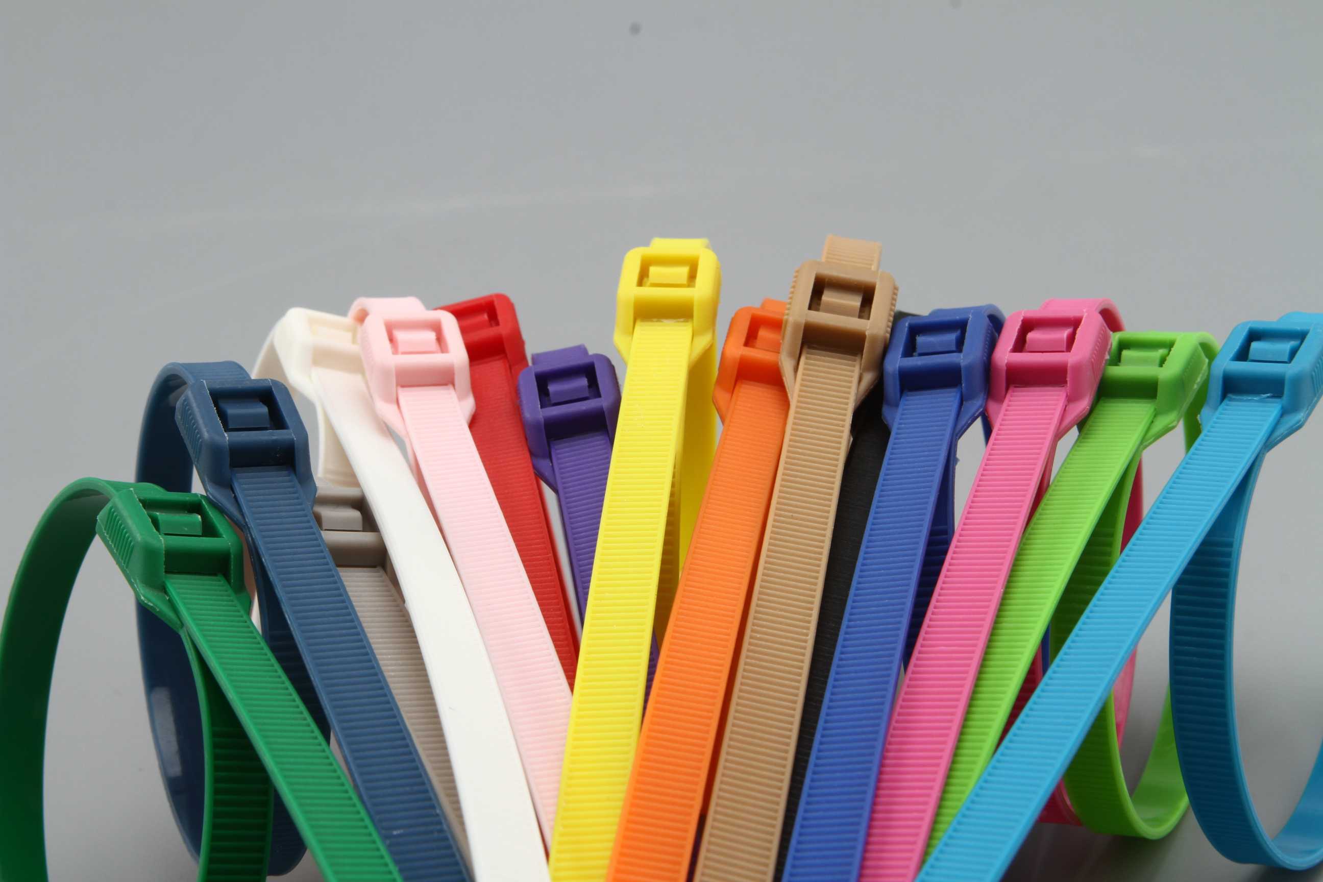 Anti -demontage (lood afgedicht) nylon kabelbind